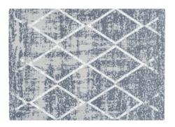 Produktbild von Türmatte ca. 70 x 50 cm                 Blau
     | Möbel Inhofer