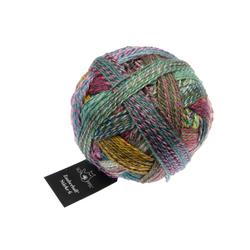 Produktbild von Schoppel Zauberball 6 2528