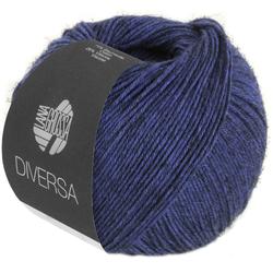 Produktbild von DIVERSA - 17