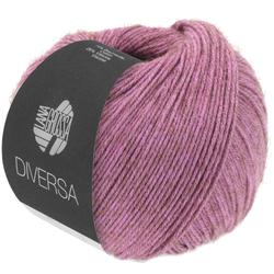 Produktbild von DIVERSA - 3
