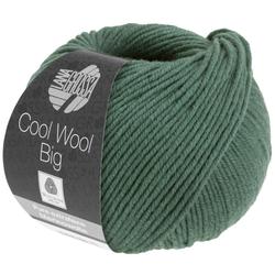 Produktbild von COOL WOOL BIG - 1004