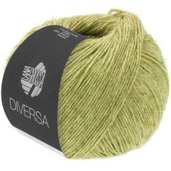 Produktbild von DIVERSA - 11