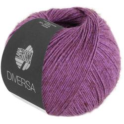 Produktbild von DIVERSA - 20