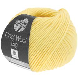 Produktbild von COOL WOOL BIG - 1007