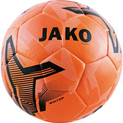 Produktbild von Ball Champ Winter