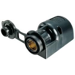 Produktbild von Aufbausteckdose | 302396