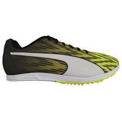 Produktbild von Puma evoSpeed Distance 7 - Leichtathletikschuhe, Spikes für Erwachsene | EU 46 / UK 11 | 189545-03-11