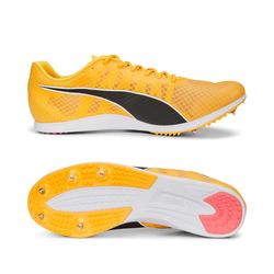 Produktbild von evoSPEED Distance 11 Leichtathletikschuhe / Spikes für Herren - Orange