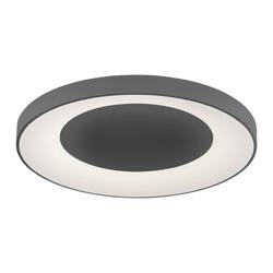 Produktbild von Deckenleuchte                 LED
                    Fernbedienung
                    grau
    | Möbel Inhofer
