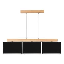 Produktbild von Hängeleuchte                 LED
                    Wanddimmer
                    schwarz
    | Möbel Inhofer
