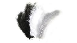 Produktbild von Rayher - FLAUSCHFEDER MISCHUNG SCHWARZ/WEISS   85167576