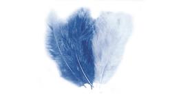 Produktbild von Rayher - FLAUSCHFEDER MISCHUNG BLAU 85167356