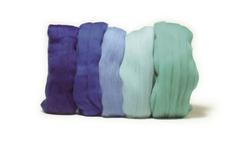 Produktbild von Rayher - MERINO-KAMMZUG,SUPERFEIN 19MIC 5X10G BLAU-TÖNE 5365100