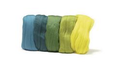 Produktbild von Rayher - MERINO-KAMMZUG,SUPERFEIN 19MIC 5X10G GRUEN-TÖNE 5365300