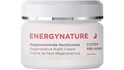 Produktbild von ANNEMARIE BÖRLIND ENERGY NATURE Regenerierende Nachtcreme