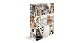 Produktbild von HERMA Motiv-Ordner A4 breit Katzen