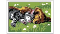 Produktbild von Ravensburger Beschäftigung - Malen nach Zahlen mit farbigen Motivlinien - Tiefer Schlaf