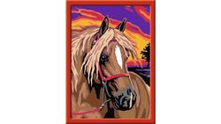 Produktbild von Ravensburger Beschäftigung - Malen nach Zahlen mit farbigen Motivlinien - Pferdetraum