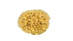 Produktbild von Croll & Denecke Naturschwamm 12 cm