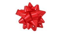 Produktbild von PRÄSENT Polybandrosette rot