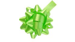 Produktbild von PRÄSENT Polybandrosette apfelgrün