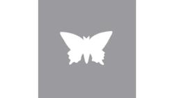 Produktbild von Rayher Motivstanzer Schmetterling 1,6 cm