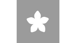 Produktbild von Rayher Motivstanzer Blüte 1,6cm ø