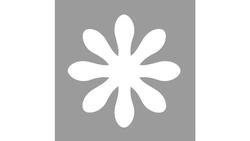 Produktbild von Rayher Motivstanzer Gänseblümchen ø 3,81 cm