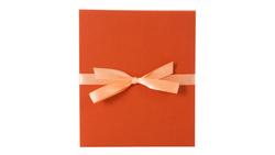 Produktbild von goldbuch Leporello Bella Vista golden orange für 10 Fotos