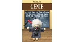 Produktbild von JOJO Püppkes Einstein