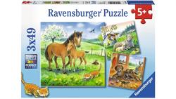Produktbild von Ravensburger Puzzle - Kuschelzeit, 3x49 Teile