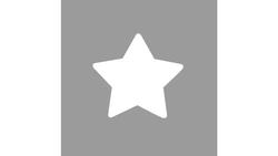 Produktbild von Rayher Motivstanzer Stern 1,6cm ø