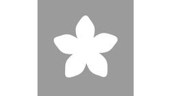 Produktbild von Rayher Motivstanzer Blüte 2,54cm ø