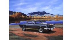 Produktbild von Revell 07242 - Shelby Mustang GT 350 H