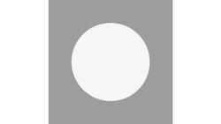 Produktbild von Rayher Motivstanzer rund 3,16cm ø