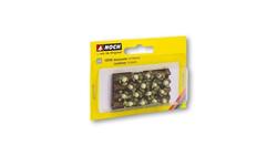 Produktbild von NOCH 13216 H0 - Blumenkohl