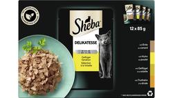 Produktbild von Sheba Katzennassfutter Delikatesse in Gelee Geflügel Variation Multipack