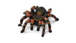 Produktbild von Schleich 14829 - Wild Life - Vogelspinne