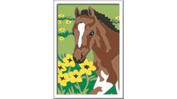 Produktbild von Ravensburger Beschäftigung - Malen nach Zahlen - Fohlen