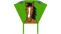 Produktbild von Pocket Sled - Kinderdrachen Bronco