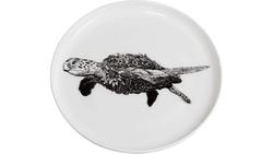 Produktbild von MAXWELL & WILLIAMS Marini Ferlazzo Teller Green Sea Turtle 20 cm