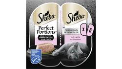 Produktbild von Sheba Perfect Portions mit Lachs 6er-Pack