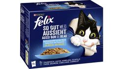Produktbild von felix Katzennassfutter So gut wie es aussieht in Gelee Geschmacksvielfalt aus dem Wasser 12x85g