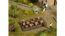 Produktbild von NOCH 13221 H0 - Beetroots 3 x 6 cm, 12 Pflanzen