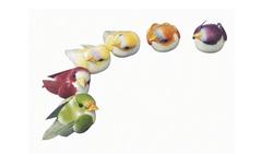 Produktbild von Rayher - PILZVOEGEL SORT. 2CM 6STK. 8537949