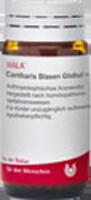 Produktbild von CANTHARIS BLASEN Globuli velati 20 g