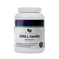Produktbild von L-CARNITIN 500 Kapseln 100 St