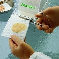 Produktbild von ZEMUKO Vliesstoff-Kompr.gerollt 10 cmx1 m 1 St