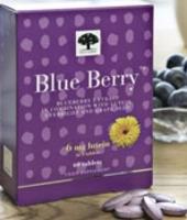 Produktbild von BLUE BERRY Tabletten 120 St