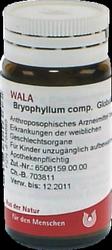 Produktbild von BRYOPHYLLUM COMP.Globuli 20 g